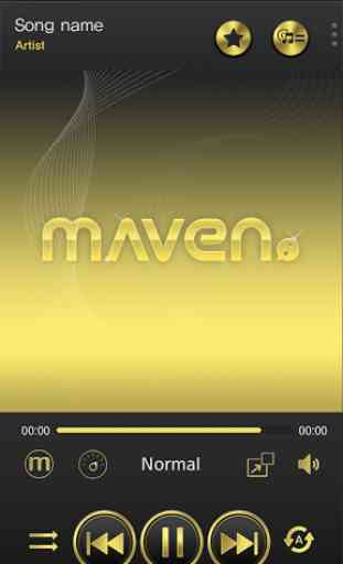 MAVEN Player Gold(Black) Skin 3