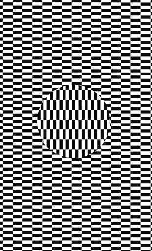 Optical Illusion LWP 4