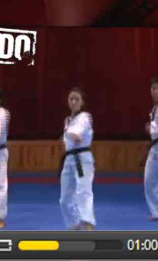 Taekwondo free training 3