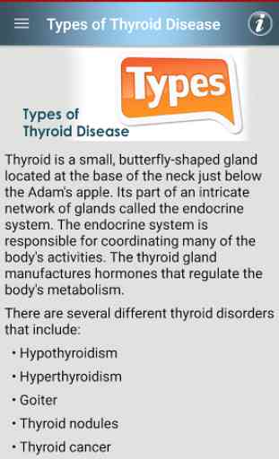 Thyroid Foods & Diet Tips Help 2