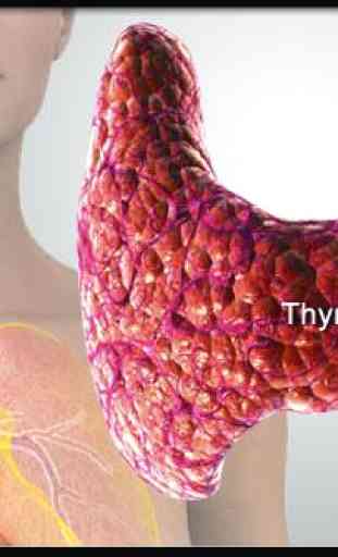 Thyroid Symptoms Treatment 3