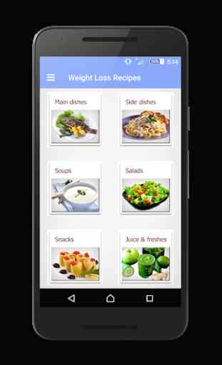 Weight Loss Recipes 1