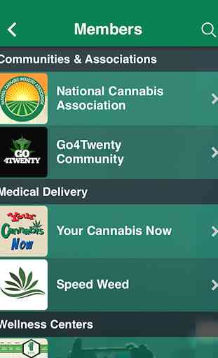 Your Cannabis Now 3