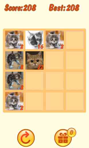 20 48 Cats Puzzle with mPLUS 1
