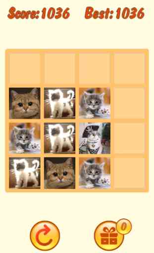 20 48 Cats Puzzle with mPLUS 2