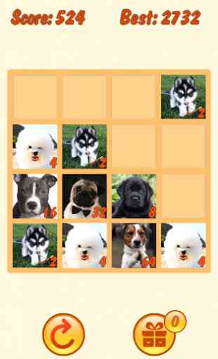 2048 Dogs with mPLUS (mPOINTS) 1