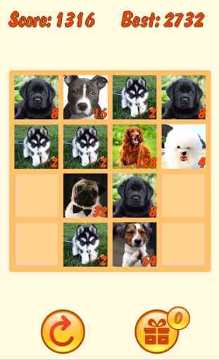 2048 Dogs with mPLUS (mPOINTS) 2