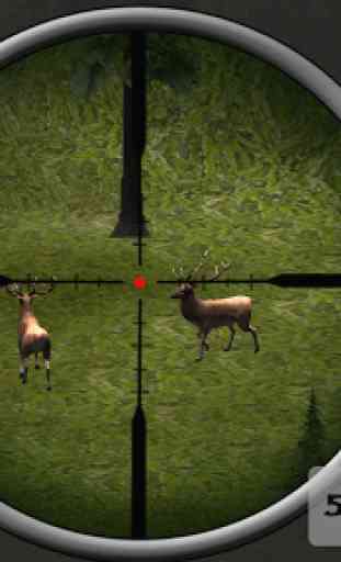 Deer Hunter : Deer Hunting 1