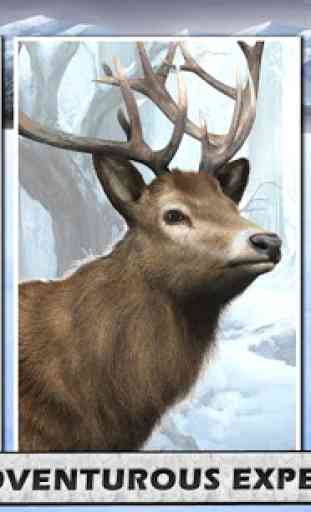 Deer Hunting Big Game 2016 3D 2