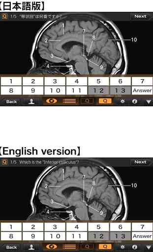 Interactive CT and MRI Anatomy 4