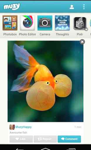 Muzy - Share photos & collages 1