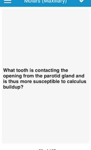 NBDE Dental Anatomy/Occlusion 2