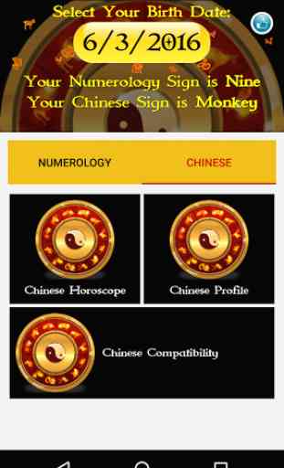 Numerology & Chinese Horoscope 2