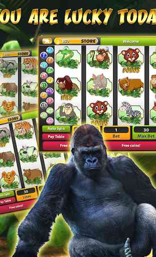 The Jungle Book Slot machines 1