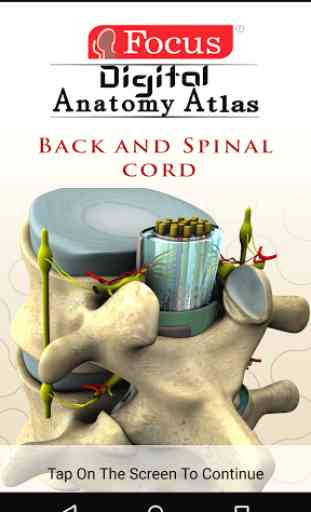 BACK AND SPINAL CORD - ATLAS 1