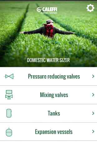 Domestic Water Sizer Caleffi 1
