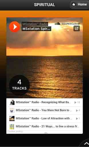 MSstation™ Radio & TV App 2