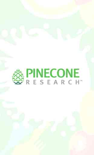 Pinecone Research 1