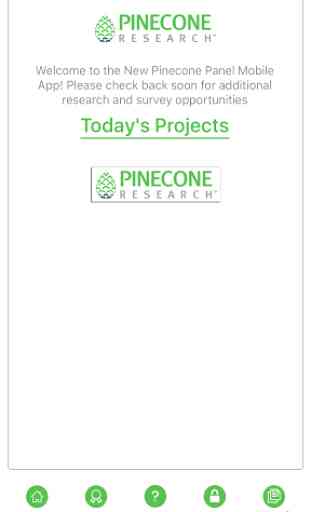 Pinecone Research 3