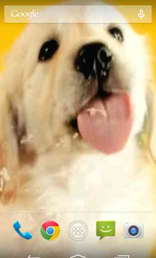 Puppy Licks Screen 2