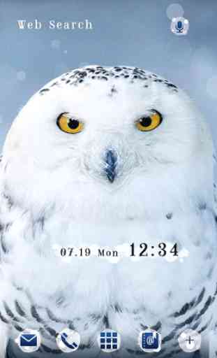 Snowy Owl wallpaper 1