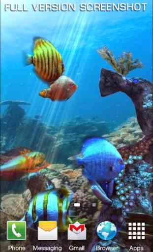 Clownfish Aquarium 3D FREE 4