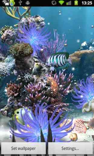 Coral Reef Lite Free Aqua Live 3