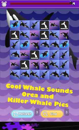 Killer Whale Games 1
