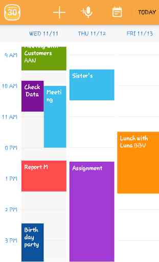 Planner (Schedule Calendar) 1