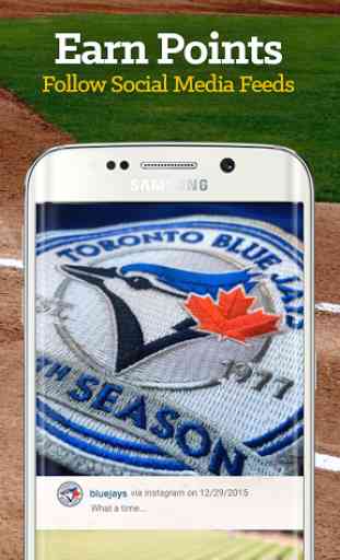 Toronto Baseball Rewards 3