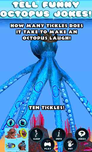 Virtual Pet Octopus 4
