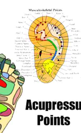 Acupressure points chart body 2