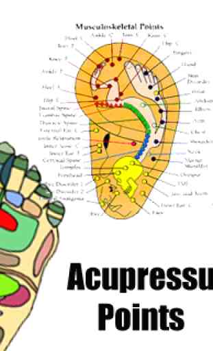 Acupressure points chart body 3