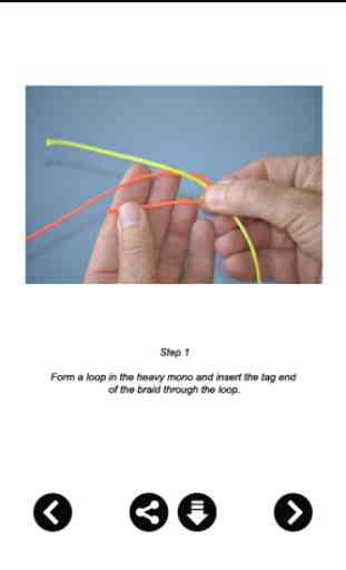 Best Fishing Knot Guide 2