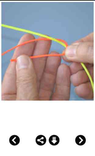 Best Fishing Knot Guide 3