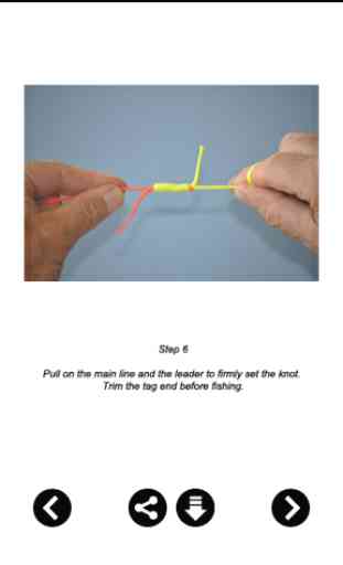 Best Fishing Knot Guide 4