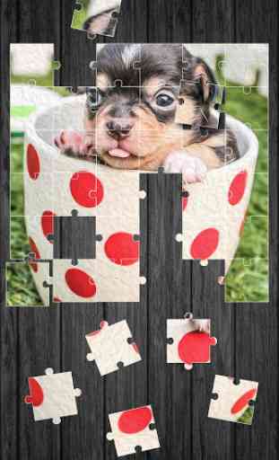 Cute Dogs Jigsaw Puzzle 3