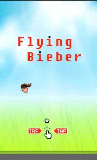 Flying Bieber 1
