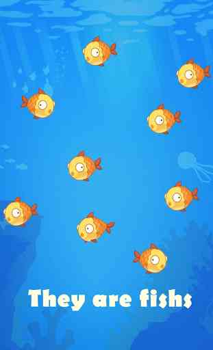 Goldfish Evolution Party 1
