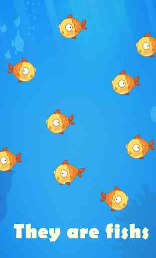 Goldfish Evolution Party 4