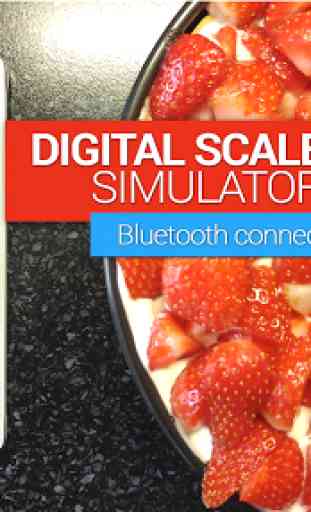 IQ Digital scale simulator 1