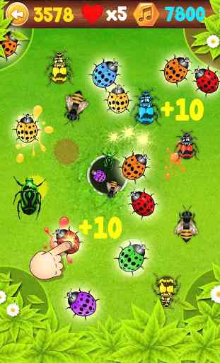 Ladybug Smasher 2016 1