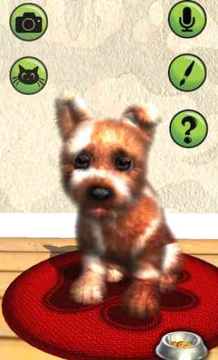 Oh My Dog - Virtual Pet 1
