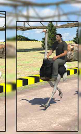 Ostrich Racing Simulator 3d 1