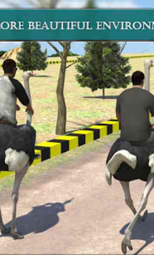 Ostrich Racing Simulator 3d 2