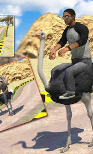 Ostrich Racing Simulator 3d 4