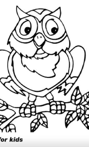Owl Coloring Book 1