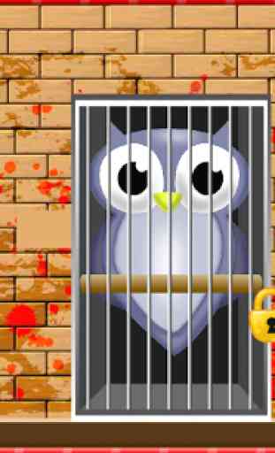 Owl escape 2