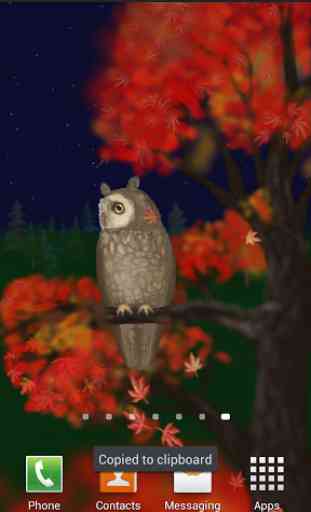 Owl of a Season Wallpaper Lite 4