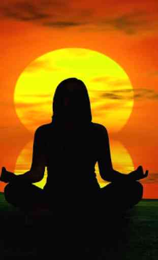 Patanjali Yoga Pradip Hindi 2